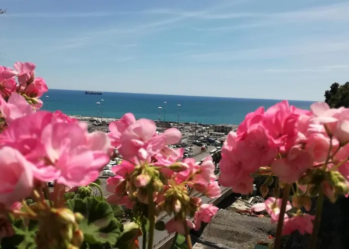 Torreammare